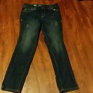 Lane Bryant SIMPLY STRAIGHT jeans size 16 Average
